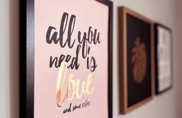 White View Rose - Photo 12