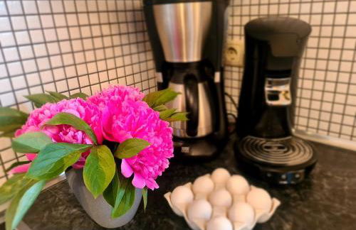 Landhaus Gersdorf nahe Ostseebad Kühlungsborn - Foto 37