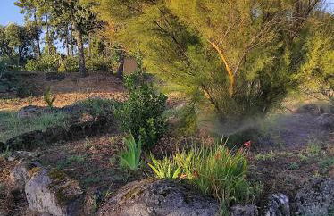 Quinta Damigo - Foto 72