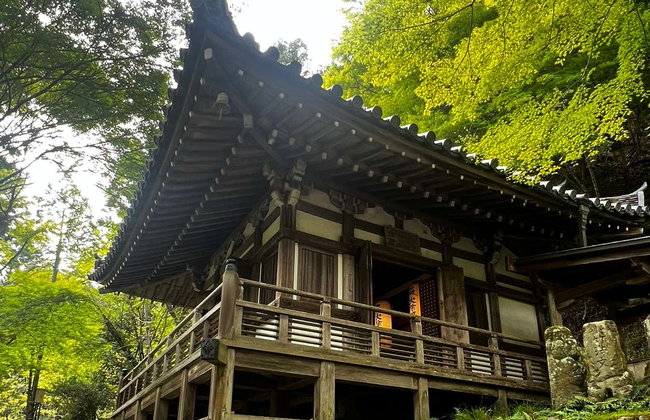 Visite guidée d'Arashiyama et sa forêt de bambous - Photo 6