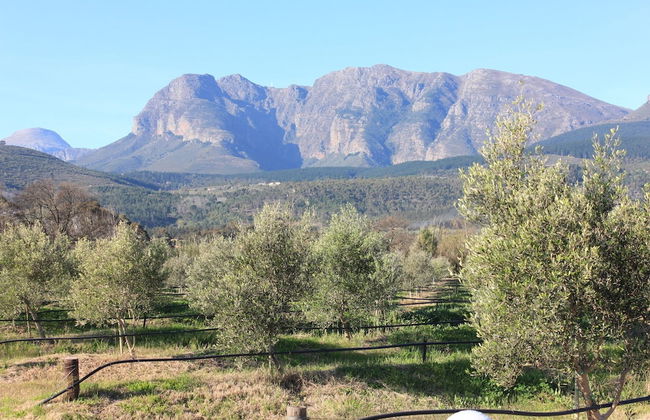 Village Lodge Paarl - Photo 40