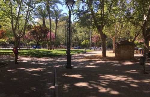 La Condesa de Vallellano - Foto 21