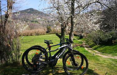 Podere Groppini - Foto 46