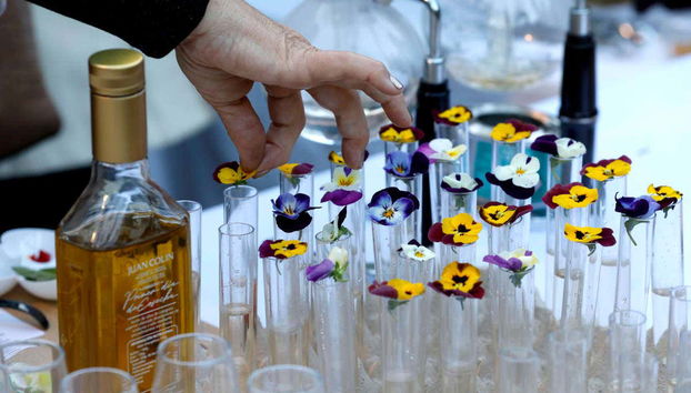 Degustação de azeites com café da manhã típico - Photo 3