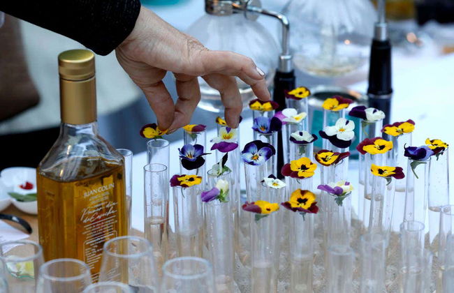 Degustação de azeites com café da manhã típico - Photo 3