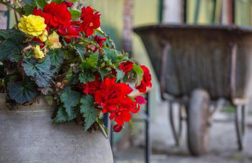 mit Wintergarten nah Moviepark - Foto 19