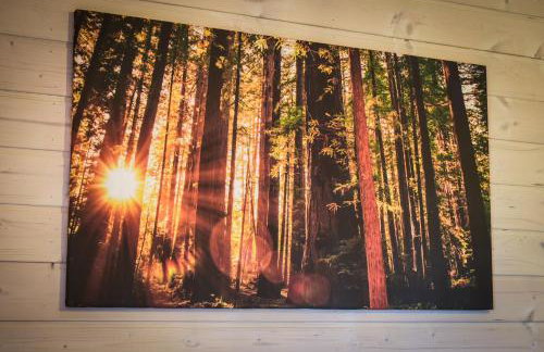 Forest Camp - domki Zator, ogrzewane noclegi - Foto 17