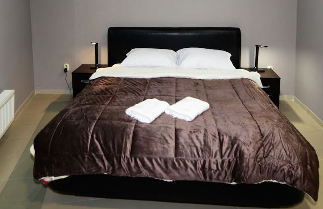 Vila Ambasador Bratin Dol - Foto 3