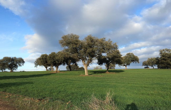 Rural Pedroches Casa Los Mineros - Foto 44