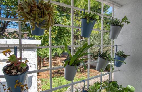 Apartman Soto - Photo 17