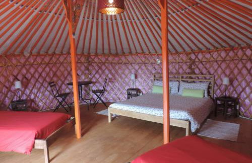 Società Agricola Cacigolara - Photo 141