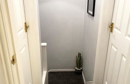 Bythynnod Newydd - Foto 16