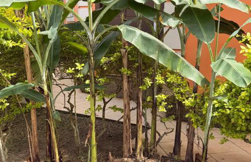 Casa Laranja Imbituba - Foto 32