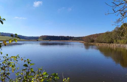 Eschfeld Sauna Apartment - Foto 46