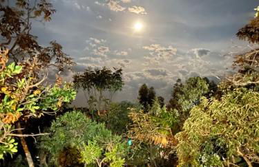 Casa Lobo-guará - Foto 31