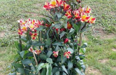 Le chalet douillet - Foto 18