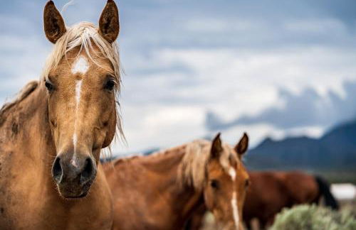 Stay Mesa Verde - Foto 18