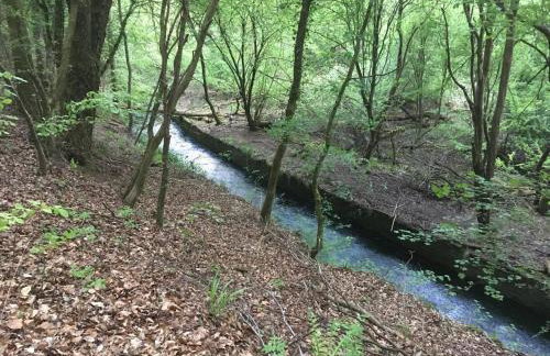 1 Bed in Cinderford oc-73633 - Photo 21