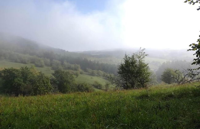 Lovely Apartment in Bollendorf near South Eifel Nature Park - Photo 36