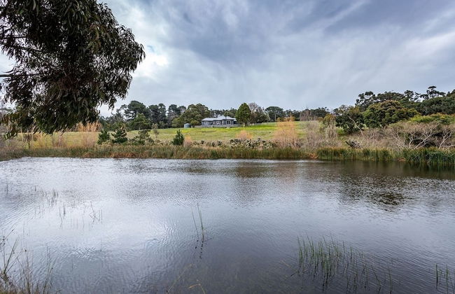 Green Olive at Red Hill - Foto 3