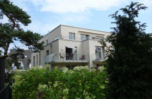 Amare Dierhagen - Foto 2