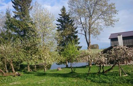 Dworek Szarki - Foto 13