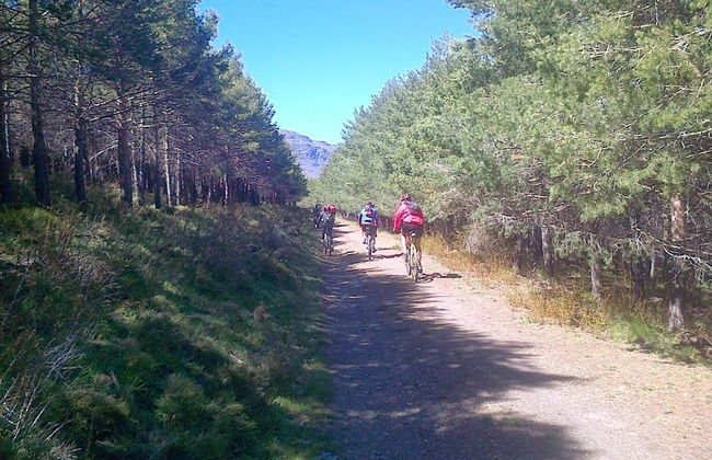 Las Chimeneas - Foto 23