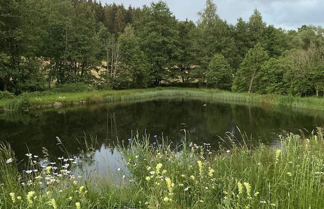 Ferienidylle Brunnersäge - Photo 17