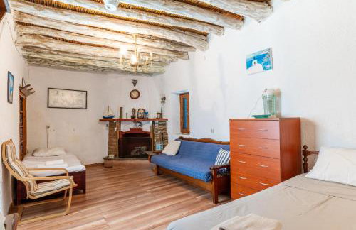 Andros Traditional House - Foto 24