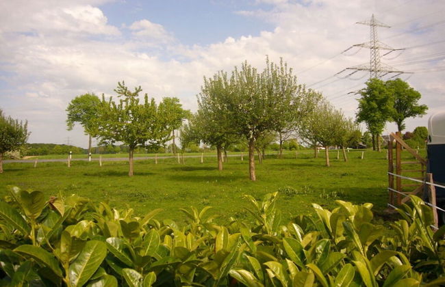 Pleasant Apartment in Munster - Foto 9