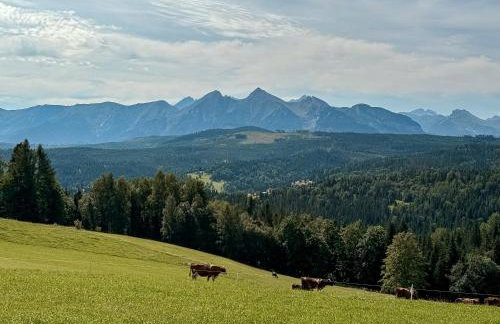 LK Mountain Residence domki i segmenty z prywatnym jacuzzi, sauną i widokami na góry i jezioro - Foto 52