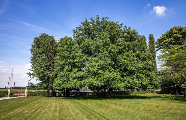 Relais Villa Ormaneto - Photo 32