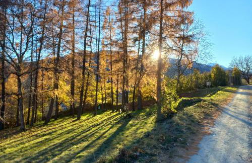 La finestra sul Brenta - Photo 11