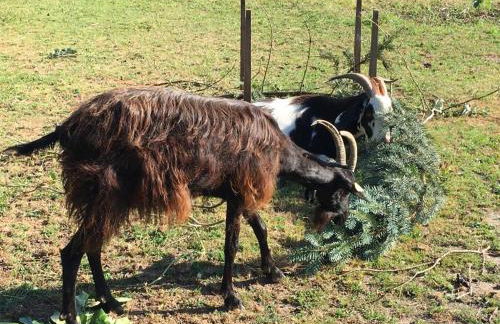 Gite Les Sources - Foto 28