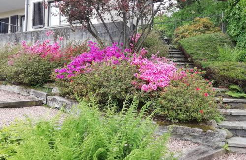 Villa Banfi - Foto 30