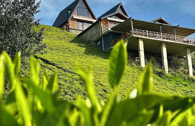 CELAZENİ BUNGALOV - Foto 35