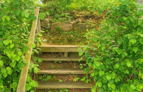 Gresham Shores-Hungry Bear - Foto 13