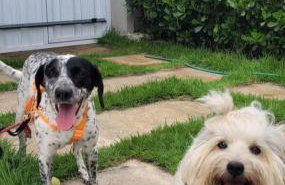 Casa de Praia em Beberibe - House 4k Beberibe, Acomoda até 12 pessoas - Photo 14