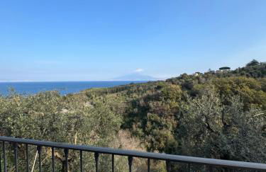 Villa Rosmary - Foto 50