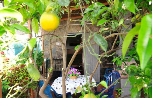 Apartamentos Buen Leon - Foto 5