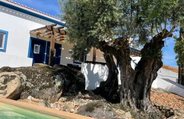 Almojanda 3 olive tree - Foto 5