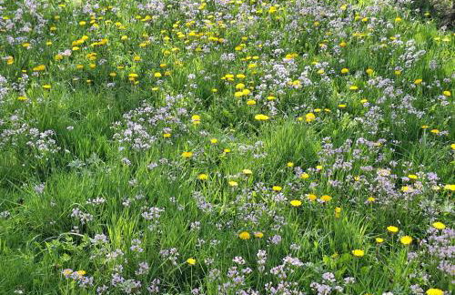 Ferienwohnung bei Tanja und Marcus - Foto 17