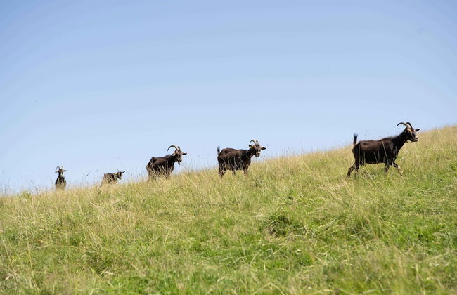 Paorra Baserria - Foto 36