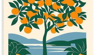 ALMA Rossa - Photo 1