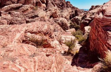 Lux life! Central location for business or play! - Foto 30