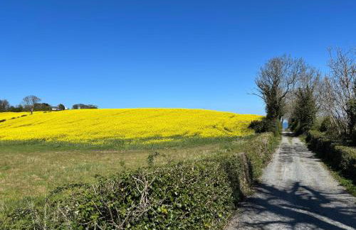 The Snug self contained apartment - Foto 5