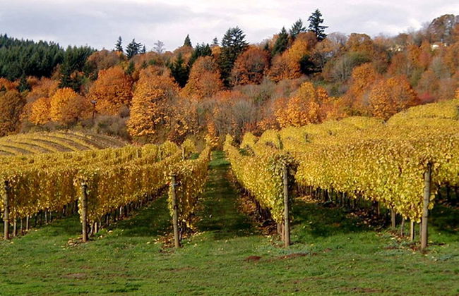 Locanda Antiche Macine - Foto 22