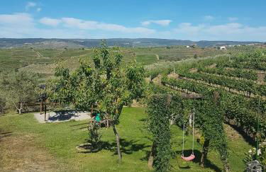 quinta vale da corga - Foto 8