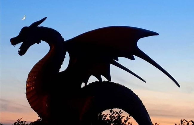 Hendre Coed Isaf - Photo 46