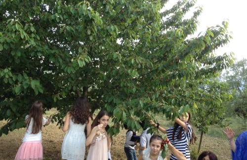 Agriturismo Via del Campo - Foto 77